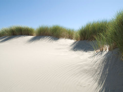 weißer Sandstrand vor einer Dünne