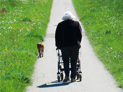 ältere Dame mit Rollator und Hund