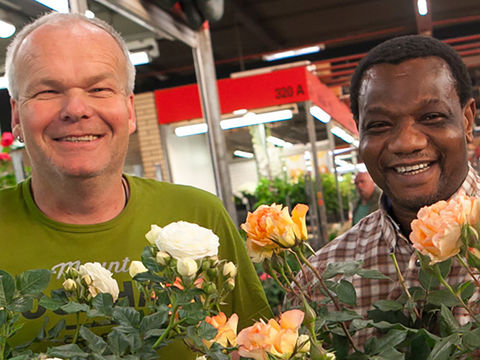Hr Huckfeld und Mitarbeiter mit Rosenpflanzen in den Händen